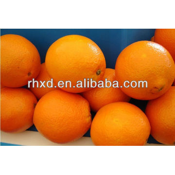 fresh orange name all fruits